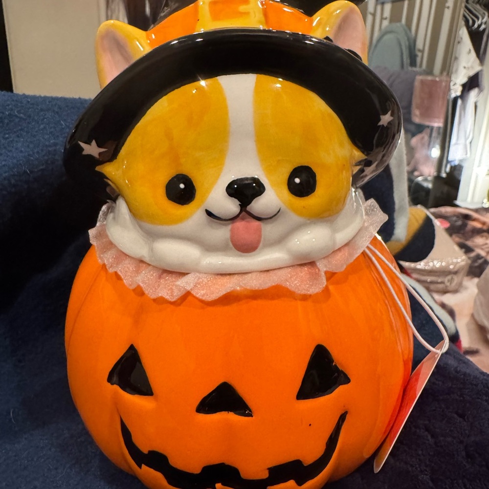 Corgi in Witch Hat Pumpkin Jar -